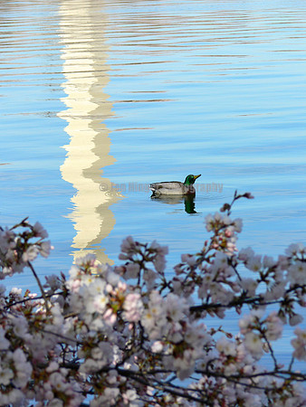 Washington, DC
