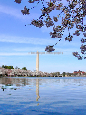 Washington, DC
