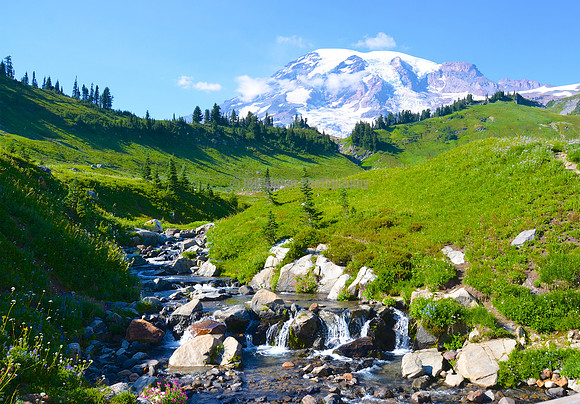 Mt. Rainier National Park