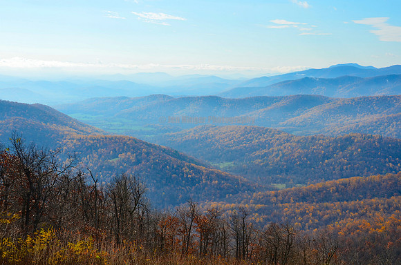 Shenandoah, VA