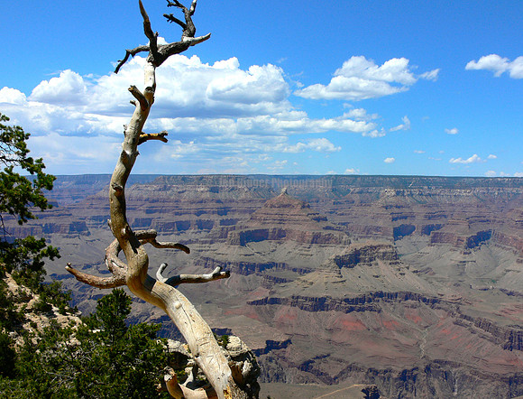 Grand Canyon