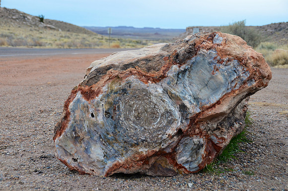 Petrified Forest, AZ