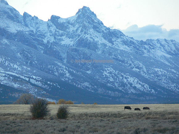Grand Teton National Park