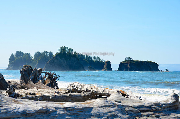 Olympic National Park, WA