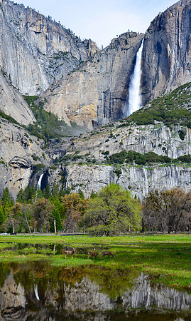 Yellowstone, WY