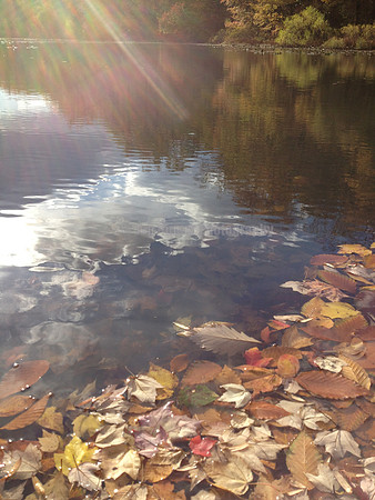 Watchung Reservation, NJ